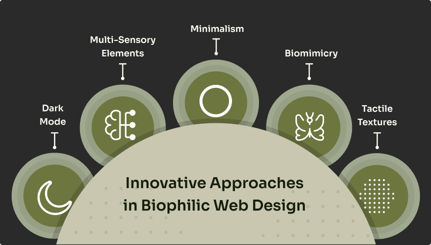 Biophilic Web Design: Bringing Nature-Inspired Aesthetics into the Digital Space 5 Innovative Approaches in Biophilic Web Design