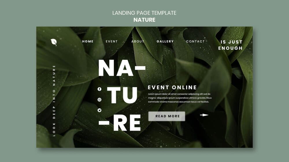 Biophilic Web Design: Bringing Nature-Inspired Aesthetics into the Digital Space 6 Biophilic Web Design: How to Infuse Nature-Inspired Elements into Your Website