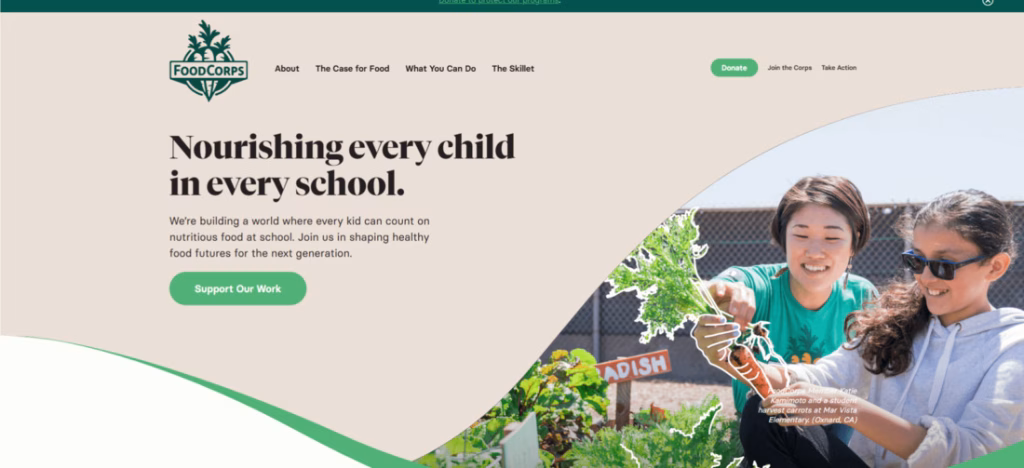 9 tipova sajtova za koje treba da znate 4 Nonprofit Websites